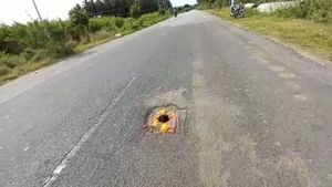 ಯಳಂದೂರು; ಮಂಡಿ, ಕೀಲು ನೋವಿಗೆ ರಾಷ್ಟ್ರೀಯ ಹೆದ್ದಾರಿಯಲ್ಲಿದೆ ಮದ್ದು 