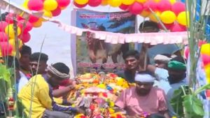 ಹಾವೇರಿ: ಕರಜಗಿ ಗ್ರಾಮದ ಆ್ಯಕ್ಷನ್ ಕಿಂಗ್ ಓಂ ಹೋರಿ ಇನ್ನು ನೆನಪು ಮಾತ್ರ 