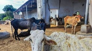 ಶಿವಮೊಗ್ಗ: ಅ.31ರವರೆಗೆ ಜಾನುವಾರು ಜಾತ್ರೆ, ಜಾನುವಾರು ಸಾಗಾಣೆ ನಿಷೇಧ 