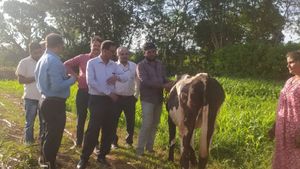 ಮೈಸೂರು: ‘ಚರ್ಮಗಂಟು’ ಸಂಕಟ: ಜಾನುವಾರು ಸಾಗಾಟಕ್ಕೆ ನಿರ್ಬಂಧ 