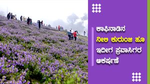 ಕಾಫಿನಾಡಿನ ನೀಲಿ ಕುರುಂಜಿ ಹೂ ಇದೀಗ ಪ್ರವಾಸಿಗರ ಆಕರ್ಷಣೆ; ವಿಶೇಷತೆ ಇಲ್ಲಿದೆ ನೋಡಿ 