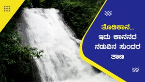  'ತೊಡಿಕಾನ'... ಇದು ಕಾನನದ ನಡುವಿನ ಸುಂದರ ತಾಣ!; ತೆರಳುವುದು ಹೇಗೆ? 
