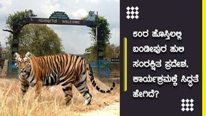 50ರ ಹೊಸ್ತಿಲಲ್ಲಿ ಬಂಡೀಪುರ ಹುಲಿ ಸಂರಕ್ಷಿತ ಪ್ರದೇಶ: ಕಾರ್ಯಕ್ರಮಕ್ಕೆ ಸಿದ್ಧತೆ ಹೇಗಿದೆ? 