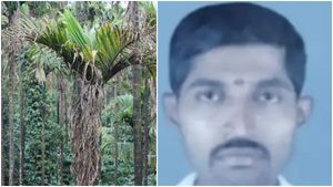  ಶೃಂಗೇರಿ: ಅಡಿಕೆ ತೋಟಕ್ಕೆ ಎಲೆ ಚುಕ್ಕಿ ರೋಗ; ಸಾಲಕ್ಕೆ ಹೆದರಿ ರೈತ ಆತ್ಮಹತ್ಯೆ 