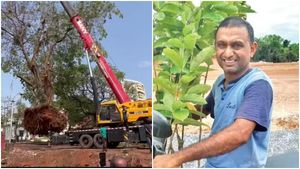 ಕೊಡಲಿ ಏಟಿಗೆ ಬಲಿಯಾಗಬೇಕಿದ್ದ ಅಶ್ವಥ ಮರಗಳಿಗೆ ಮರುಜೀವ ನೀಡಿದ ಮಂಗಳೂರಿನ ವೃಕ್ಷ ಪ್ರೇಮಿ 
