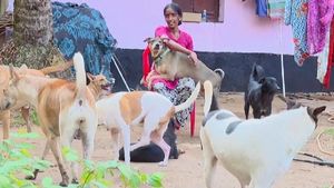 ಮಂಗಳೂರು: 800 ಬೀದಿನಾಯಿಗಳ ಊಟಕ್ಕೆ ಸೀಮೆಎಣ್ಣೆ ಸುರಿದ ಕಿಡಿಗೇಡಿ ಮಹಿಳೆ, ಸಿಸಿ ಕ್ಯಾಮೆರಾ ಅಳವಡಿಕೆ