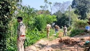 ಚಿಕ್ಕಮಗಳೂರಿನಲ್ಲಿ ಮಿತಿಮೀರಿದ ಕಾಡಾನೆ ಹಾವಳಿ: ಗಣಪತಿಕಟ್ಟೆ ಗ್ರಾಮಸ್ಥರಲ್ಲಿ ಆತಂಕ