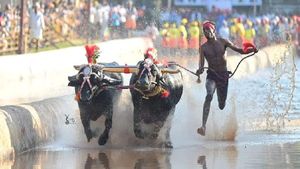 ಕಂಬಳ ಕೂಟದ ರಣರೋಚಕ ಓಟ: ಬಿದ್ದರೂ ಹಗ್ಗ ಬಿಡದೆ ಸ್ವರ್ಣ ಪದಕಕ್ಕೆ ಮುತ್ತಿಕ್ಕಿದ ಓಟಗಾರ