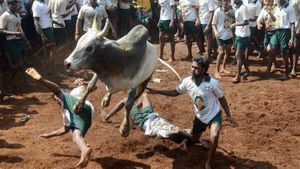  Krishnagiri Bull Race:: ಗೂಳಿ ಓಟಕ್ಕೆ ಜಿಲ್ಲಾಧಿಕಾರಿಗಳಿಂದ ತಡೆ: ಚೆನ್ನೈ-ಬೆಂಗಳೂರು ಹೆದ್ದಾರಿ ತಡೆದು ಪ್ರತಿಭಟನೆ