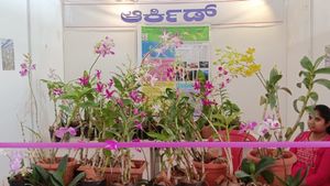 ರೈತರನ್ನು ಸೆಳೆಯುತ್ತಿರುವ ಶಿವಮೊಗ್ಗದ ಕೃಷಿ, ತೋಟಗಾರಿಕಾ ಮೇಳ 