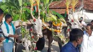 ಚಾಮರಾಜನಗರದಲ್ಲಿ ಯುಗಾದಿಗೆ 'ಹೊನ್ನೇರು' ಕಟ್ಟುವ ರೈತರು: ಈ ಸಂಪ್ರದಾಯದ ಬಗ್ಗೆ ಇಲ್ಲಿದೆ ಸಂಪೂರ್ಣ ವಿವರ 