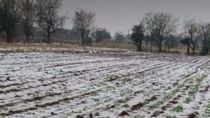 Karnataka Weather: ಕೊಡಗು, ಕೋಲಾರದಲ್ಲಿ ಆಲಿಕಲ್ಲು ಮಳೆ ದಾಖಲು, ಬೆಂಗಳೂರಿಗೆ 3 ದಿನ ಮಳೆ ನಿರೀಕ್ಷೆ, ಮುನ್ಸೂಚನೆ