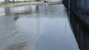  Bengaluru-Mysuru Expressway: ಹೆದ್ದಾರಿ ಜಲಾವೃತ ಆಗಲು ಅವೈಜ್ಞಾನಿಕ ಕಾಮಗಾರಿಯೇ ಕಾರಣ:  ಕನ್ನಡಪರ ಸಂಘಟನೆಗಳ ಆರೋಪ