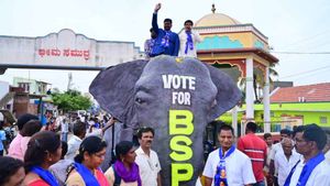 ಚಾಮರಾಜನಗರ: ಆನೆ ಮೇಲೆ ಕುಳಿತು BSP ಅಭ್ಯರ್ಥಿ ಚುನಾವಣಾ ಪ್ರಚಾರ