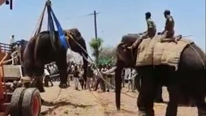  ನ್ಯಾಮತಿ:  16 ವರ್ಷದ ಬಾಲಕಿಯನ್ನು ಕೊಂದಿದ್ದ ಪುಂಡಾನೆ ಕೊನೆಗೂ ಸೆರೆ: ನೆಮ್ಮದಿಯ ನಿಟ್ಟುಸಿರು ಬಿಟ್ಟ ಜನ