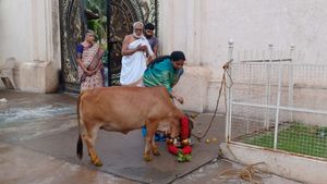 ಬಳ್ಳಾರಿ: ಗೋಪೂಜೆ ನೆರವೇರಿಸಿ ಮೊದಲ ಮತದಾನ ಮಾಡಿದ ಅರುಣಾ ಲಕ್ಷ್ಮೀ
