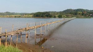 ಯು.ಟಿ ಖಾದರ್‌ ಕ್ಷೇತ್ರದ ಜನರ ಸೇತುವೆ ಕನಸು: ಸಂಕಷ್ಟದಲ್ಲಿ ಪಾವೂರು-ಉಳಿಯ ದ್ವೀಪದ ಜನ!