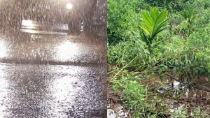 ಮುಂಗಾರು ಪೂರ್ವ ಮಳೆಗೆ ದಾವಣಗೆರೆ ಜಿಲ್ಲೆಯ ಹಲವೆಡೆ ಕೃಷಿ ಬೆಳೆ ನಾಶ, ನೊಂದ ರೈತರ ಬೇಡಿಕೆಗಳೇನು?