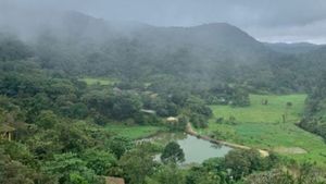  ಕೊಡಗಿನಲ್ಲಿ ಪ್ರವಾಸಿಗರ ಬಳಿ ಬೇಕಾಬಿಟ್ಟಿ ಹಣ ವಸೂಲಿ, ಟ್ಯಾಕ್ಸಿ ಚಾಲಕರ ವಿರುದ್ಧ ಕ್ರಮಕ್ಕೆ ಒತ್ತಾಯ