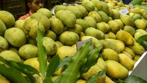 ಮಡಿಕೇರಿ; ಮೇ 26 ರಿಂದ ಮಾವು, ಹಲಸು ಮೇಳ, ವಿಶೇಷತೆಗಳು 