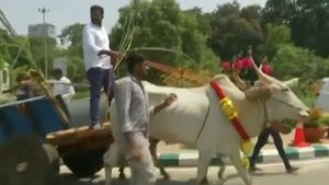 Video: ಪ್ರಮಾಣವಚನ ಸ್ವೀಕರಿಸಲು ಎತ್ತಿನ ಗಾಡಿಯಲ್ಲಿ ವಿಧಾನಸೌಧಕ್ಕೆ ಆಗಮಿಸಿದ ಮಂಡ್ಯ ಶಾಸಕ ರವಿ ಗಾಣಿಗ 