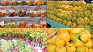 Mango Mela: ಮೇ 26 ರಿಂದ ಮೈಸೂರಿನಲ್ಲಿ ಮಾವು ಮೇಳ, ಸಿದ್ಧತೆ ಹೇಗಿದೆ? ಯಾವೆಲ್ಲ ನಿಯಮಗಳು ಅನ್ವಯ?-ಮಾಹಿತಿ