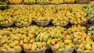  Mango Mela 2023: ಮೇ 26ರಂದು ಮೈಸೂರಿನ ಕುಪ್ಪಣ್ಣ ಪಾರ್ಕ್‌ನಲ್ಲಿ ಮಾವು ಮೇಳಕ್ಕೆ ಅದ್ಧೂರಿ ಚಾಲನೆ, ಸಮಯದ ವಿವರ ಇಲ್ಲಿದೆ