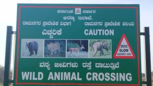Bengaluru-Mysuru Expressway: ವಾಹನ ಸವಾರರಿಗೆ ಅರಣ್ಯ ಇಲಾಖೆಯಿಂದ ಮಹತ್ವದ ಸೂಚನೆ, ಇಲ್ಲಿದೆ ವಿವರ  