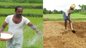 Monsoon Rain: ರೈತರಿಗೆ ಸೂಕ್ತ ಬಿತ್ತನೆ ಬೀಜ, ರಸಗೊಬ್ಬರ ಪೂರೈಕೆ ಮಾಡಿ: ಚಿಕ್ಕಮಗಳೂರಿನಲ್ಲಿ ರೈತ ಮುಖಂಡರ ಆಗ್ರಹ