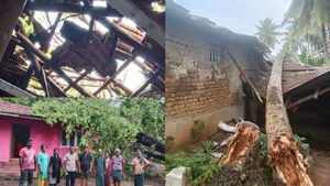  ಸುಂಕದಕಟ್ಟೆಯಲ್ಲಿ ಬಿರುಗಾಳಿ ಅವಾಂತರ, ಮನೆಗಳ ಮೇಲೆ ಮುರಿದುಬಿದ್ದ ಬೃಹತ್ ಮರಗಳು  