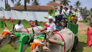 ಶಾಲೆ ಮೊದಲ ದಿನ; ಎತ್ತಿನ ಗಾಡಿಯಲ್ಲಿ ಬಂದ ಡಿಸಿ, ವಿದ್ಯಾರ್ಥಿಗಳು 