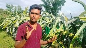  ಮಂಡ್ಯ: ಈತ ಓದಿದ್ದು ಇಂಜಿನಿಯರ್.. ಯಶಸ್ಸು ಕಂಡಿದ್ದು ಕೃಷಿಯಲ್ಲಿ, ಹೇಗೆ ಅಂತೀರಾ?, ಇಲ್ಲಿದೆ ಇಂಟರೆಸ್ಟಿಂಗ್‌ ಸ್ಟೋರಿ