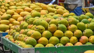 ರೈತರಿಂದ ನೇರವಾಗಿ ಗ್ರಾಹಕರಿಗೆ: ರಾಯಚೂರು ಮಾರುಕಟ್ಟೆ ತುಂಬ ಮಾವಿನ ಘಮಲು 