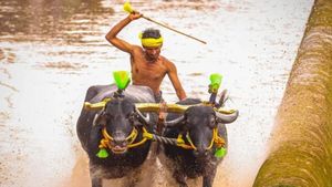 ಕಂಬಳ‌ ಇತಿಹಾಸಲ್ಲಿ ನೂತನ ಅಧ್ಯಾಯ: ಯುವತಿಯರಿಗೆ ತರಬೇತಿ‌ ನೀಡಲು ಅಕಾಡೆಮಿ ಸಿದ್ಧ