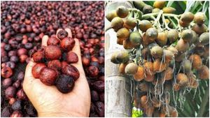 Arecanut Price: ಶಿವಮೊಗ್ಗ ಮಾರುಕಟ್ಟೆಯಲ್ಲಿ 56 ಸಾವಿರ ದಾಟಿದ ಅಡಿಕೆ ದರ: ಉಳಿದ ಮಾರುಕಟ್ಟೆಗಳ ಬೆಲೆ ಎಷ್ಟಿದೆ ನೋಡಿ 