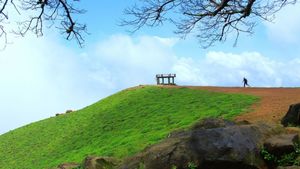 Weekend Trip Plan: ಮಂಜಿನ ನಗರಿಯಲ್ಲಿವೆ ವಾರಾಂತ್ಯಕ್ಕೆ ಸೂಕ್ತ ಪ್ರವಾಸಿ ತಾಣಗಳು