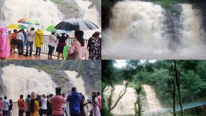  ಮಡಿಕೇರಿ: ಮುಂಗಾರು ವೇಳೆ ಈ ಫಾಲ್ಸ್‌ನ ರಮಣೀಯ ದೃಶ್ಯ ಸವಿಯುವುದೇ ಒಂಥರಾ ಮಜಾ, ತಲುಪುವ ಮಾರ್ಗ ತಿಳಿಯಿರಿ