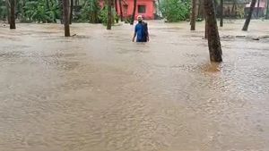  Monsoon Rain: ಮಹಾಮಳೆಗೆ ನಲುಗಿದ ದಕ್ಷಿಣ ಕನ್ನಡ ಜಿಲ್ಲೆ ಜನತೆ; ಎಲ್ಲೆಲ್ಲಿ ಹಾನಿ?, ಇಲ್ಲಿದೆ ವಿವರ