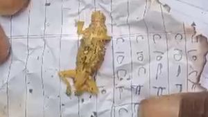  ಅಪ್ಪನದೊಡ್ಡಿಯ ಪ್ರಾಥಮಿಕ ಶಾಲೆಯಲ್ಲಿ ಬಿಸಿಯೂಟದಲ್ಲಿ ಹಲ್ಲಿ ಪತ್ತೆ, ವಿದ್ಯಾರ್ಥಿಗಳು ಅಸ್ವಸ್ಥ