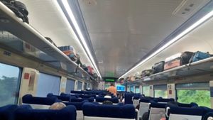 Vande Bharat : ವಂದೇ ಭಾರತ್ ಎಕ್ಸ್‌ಪ್ರೆಸ್ ರೈಲಿನಲ್ಲಿ ನೀಡಲಾದ ಚಪಾತಿಯಲ್ಲಿ ಜಿರಳೆ ಪತ್ತೆ!