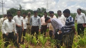 ಬರ ನಿರ್ವಹಣೆ; ಬೆಳೆ ಪರಿಸ್ಥಿತಿ ಖುದ್ದು ಅವಲೋಕಿಸಿದ ಕೊಪ್ಪಳ ಡಿಸಿ 