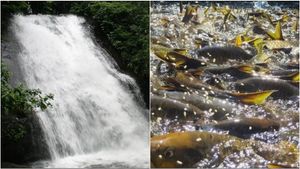 ಧುಮ್ಮಿಕ್ಕು ಜಲಸಿರಿ..ಪವಿತ್ರ ತೀರ್ಥ ದೇವರಗುಂಡಿ ಜಲಪಾತದ ಇತಿಹಾಸವೇನು? 