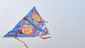 ಮಂಡ್ಯ; ಆಗಸ್ಟ್ 13ರಂದು ರಾಜ್ಯಮಟ್ಟದ ಗಾಳಿಪಟ ಉತ್ಸವ 