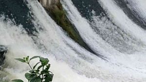 Devarabelakere Check Dam: 50 ವರ್ಷ ಇತಿಹಾಸ ಹೊಂದಿರುವ ಈ ಪಿಕಪ್ ಡ್ಯಾಂನ ಸೌಂದರ್ಯಕ್ಕೆ ಮಾರುಹೋಗದವರಿಲ್ಲ