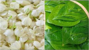 ಮತ್ತೆ ಘಮಘಮಿಸಲಿದೆಯಾ ಮೈಸೂರು ಮಲ್ಲಿಗೆ, ರಸಬಾಳೆ, ವೀಳ್ಯದೆಲೆ: ಪಾರಂಪರಿಕ ಬೆಳೆ ಉಳಿಸಲು ಸರ್ಕಾರ ಸಜ್ಜು