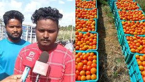  ಚಾಮರಾಜನಗರ: ಟೊಮ್ಯಾಟೊ ಬೆಳೆದು ಕುಬೇರರಾದ ಸಹೋದರರು, ಇವರ ಆದಾಯ, ಹಿನ್ನೆಲೆ ತಿಳಿಯಿರಿ 