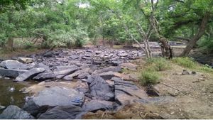 ಚಾಮರಾಜನಗರ: ಬಂಡೀಪುರದ ಪ್ರಾಣಿ-ಪಕ್ಷಿಗಳಿಗೂ ತಟ್ಟಲಿದೆ ನೀರಿನ ಸಂಕಷ್ಟ