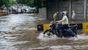  Hyderabad Rain : ಹೈದರಾಬಾದ್‌ನಲ್ಲಿ ಭಾರಿ ಮಳೆ: ಪ್ರವಾಹ, ಜನಜೀವನ ಅಸ್ತವ್ಯಸ್ತ