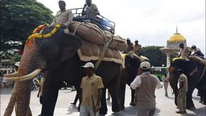 Mysuru Dasara 2023: ನಾಳೆಯಿಂದ ಗಜಪಡೆಗೆ ಭಾರ ಹೊರುವ ತಾಲೀಮು ಆರಂಭ