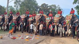 Mysuru Dasara 2023: ನಾಗರಹೊಳೆಯಿಂದ ದಸರಾ ಗಜಪಯಣಕ್ಕೆ ಅದ್ಧೂರಿ ಚಾಲನೆ